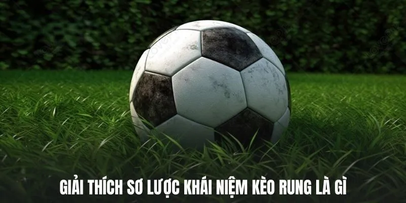 Kèo Rung Là Gì? Hiểu Rõ Chi Tiết Cách Chơi Hiệu Quả 1 Giải thích sơ lược khái niệm kèo rung là gì