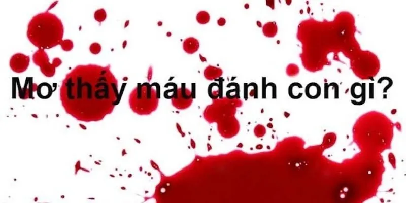 Mơ Thấy Máu Đánh Con Gì - Áp Dụng Đúng Cách Dễ Đổi Đời